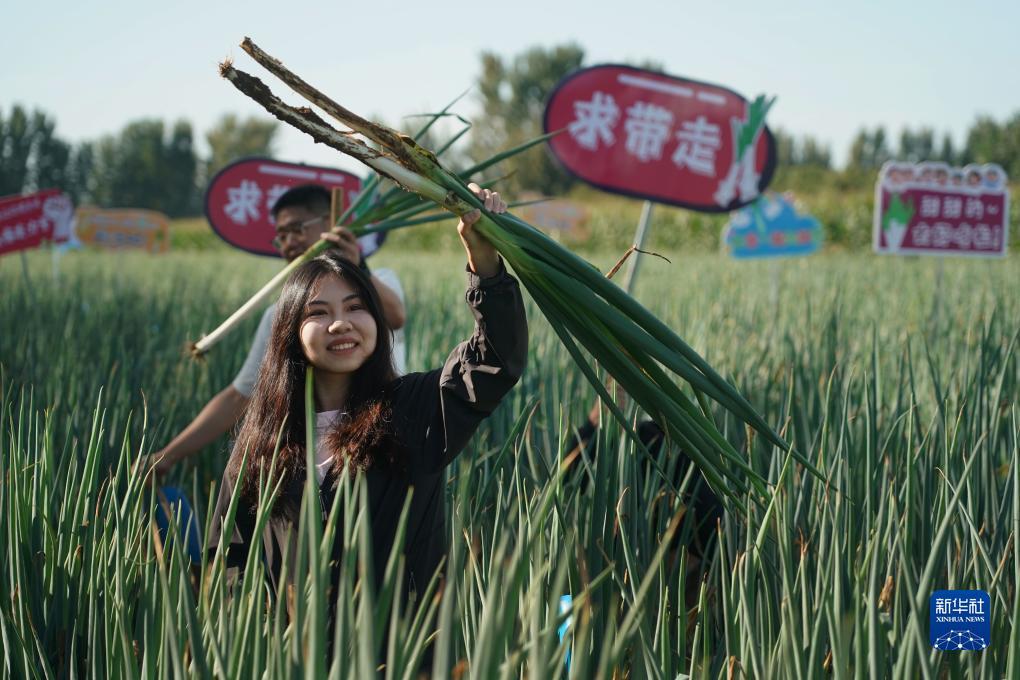 捕鱼世界